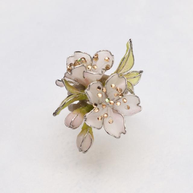 �V���E�����R�@���������O 