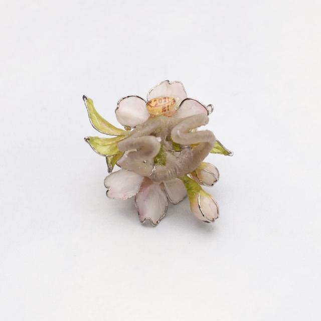 �V���E�����R�@���������O