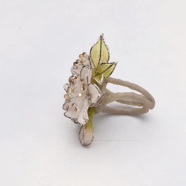 �V���E�����R�@���������O