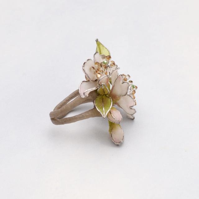 �V���E�����R�@���������O