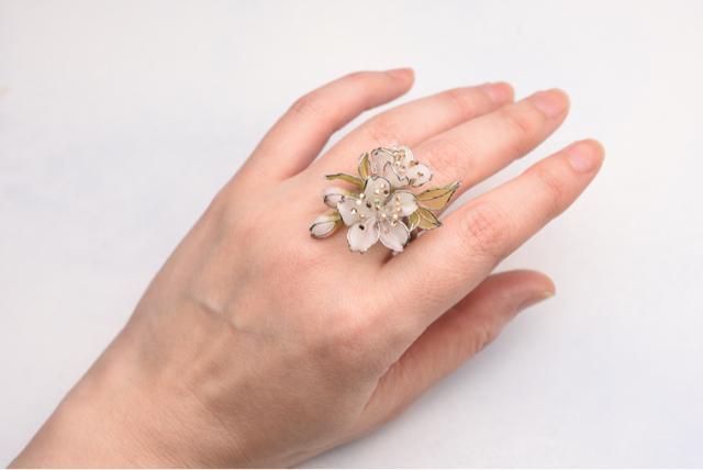 �V���E�����R�@���������O