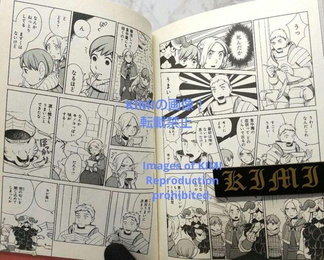 希少 初版 ダンジョン飯 1 コミック 2015 九井 諒子 (著)  ハルタコミックス Rare 1st Edition Del < アニメ/コミック/キャラクター  希少 初版 ダンジョン飯 1 コミック 2015 九井 諒子 (著)  ハルタコミックス Rare 1st Edition Del < アニメ/コミック/キャラクターの