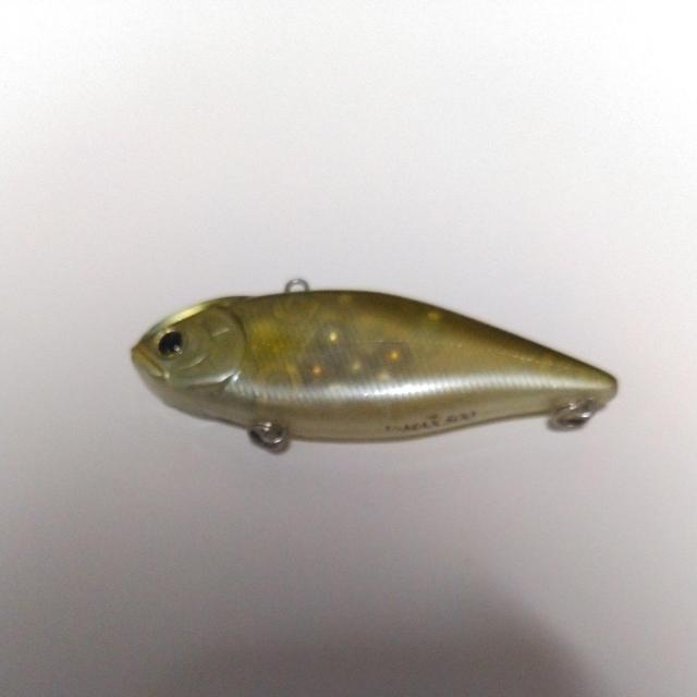 バイブレーション5 < レジャー/スポーツ  バイブレーション5  < レジャー/スポーツの