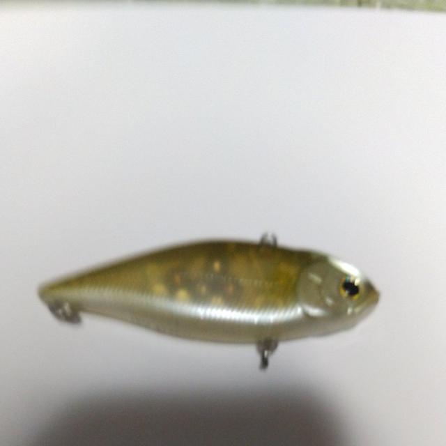 バイブレーション5 < レジャー/スポーツ  バイブレーション5 < レジャー/スポーツの