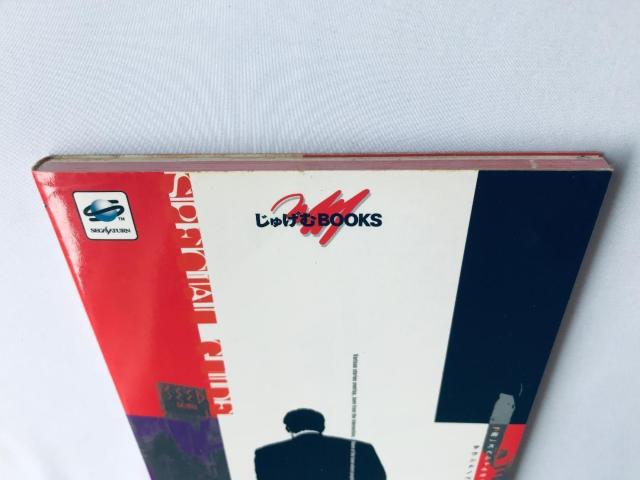 X XyVKCh TEhmxViI  nKL SS U{ Town Sound Novel Game Guide  Q[{/\tg 