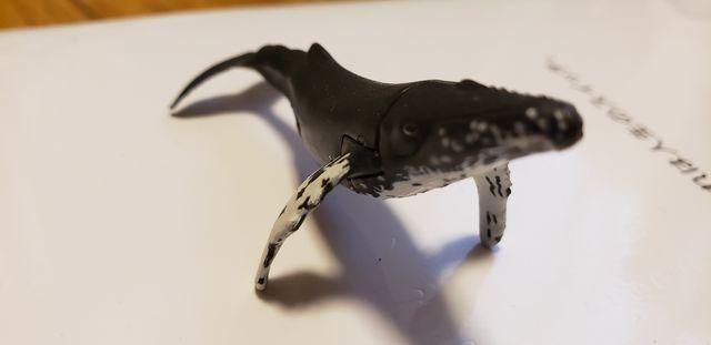 チョコエッグ【シロナガスクジラ】 < ホビー チョコエッグ【シロナガスクジラ】 < ホビーの