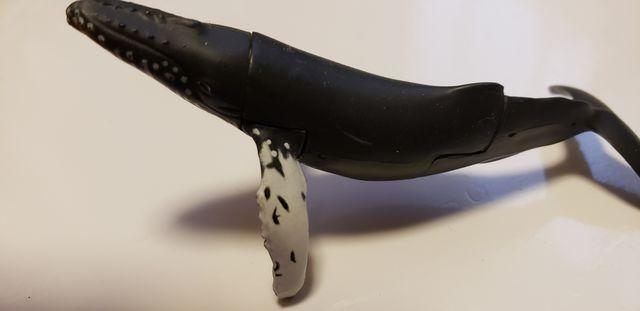 チョコエッグ【シロナガスクジラ】 < ホビー チョコエッグ【シロナガスクジラ】 < ホビーの