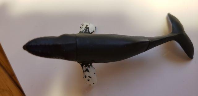 チョコエッグ【シロナガスクジラ】 < ホビー チョコエッグ【シロナガスクジラ】 < ホビーの