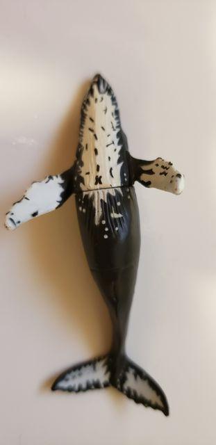 チョコエッグ【シロナガスクジラ】 < ホビー チョコエッグ【シロナガスクジラ】 < ホビーの