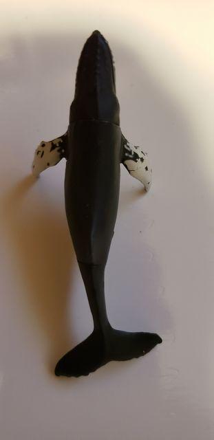 チョコエッグ【シロナガスクジラ】 < ホビー チョコエッグ【シロナガスクジラ】 < ホビーの