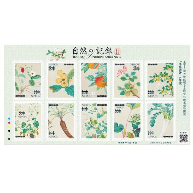自然の記録シリーズ第3集 84円切手 ダイコン アンズ キンカン < ホビー 自然の記録シリーズ第3集 84円切手 ダイコン アンズ キンカン < ホビーの