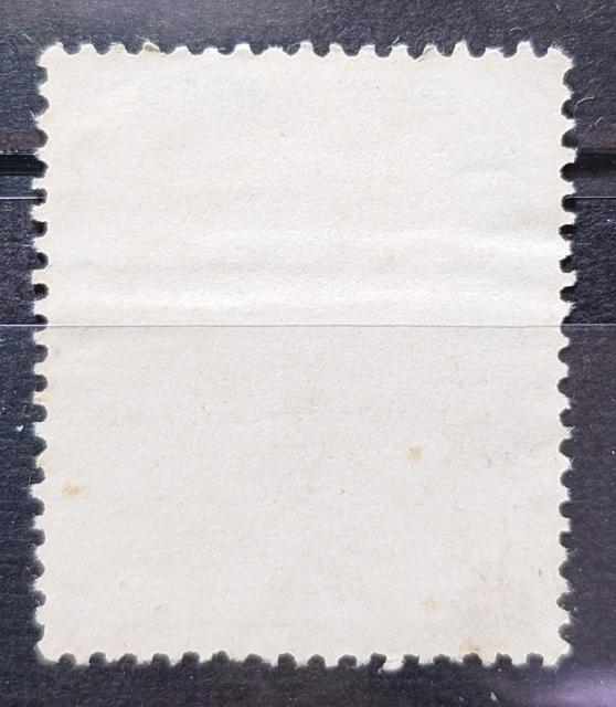 日本郵便 日本の切手 未使用切手 糊無し 1955年 国民体育大会記念 第10回国体記念 ロードレース 額面5円 < ホビー 日本郵便 日本の切手 未使用切手 糊無し 1955年 国民体育大会記念 第10回国体記念 ロードレース 額面5円 < ホビーの