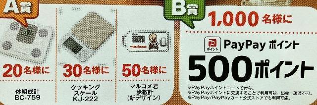 体組成計/歩数計/pay payポイント1500名様1口 < チケット/金券 体組成計/歩数計/pay payポイント1500名様1口 < チケット/金券の