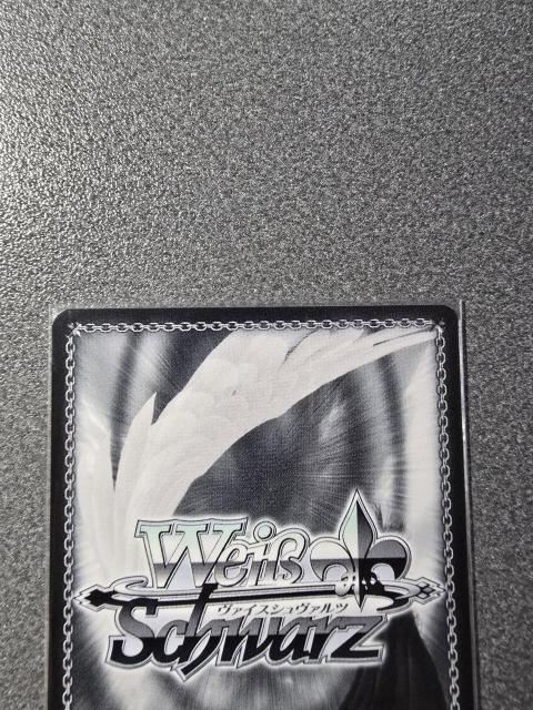 ���@�C�X�V�����@���c ���肨�ɂ��菢���オ��� ����X�� SSP �� �g���[�f�B���O�J�[�h�� 