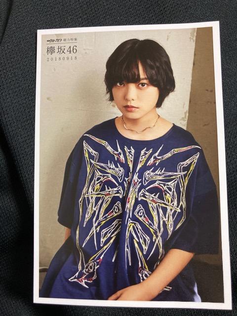 ʍ JhJ ͓W O46 2018 { ubN |XgJ[h  ^gObY 