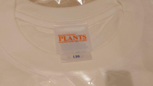 �q�O�`���E�R�@�A���W�@�L�b�YT�V���c�@���̎q�@���@130�Z���` �� �L�b�Y/�x�r�[�� 