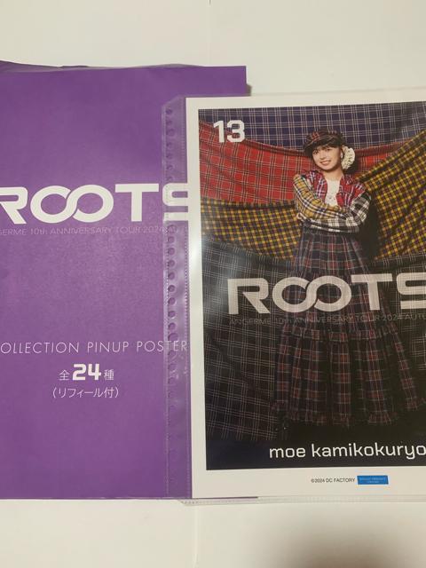 �A���W�������@�㚠���G�߁@�s���|�X�@ROOTS �@  �� �^�����g�O�b�Y�� 