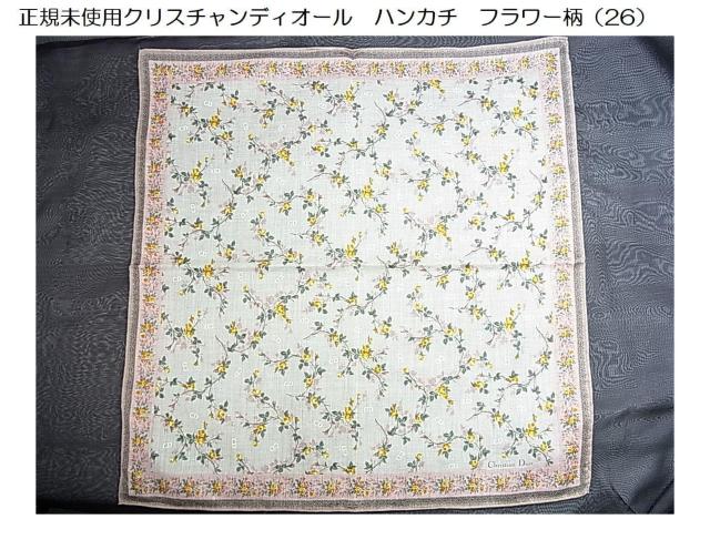 500�~�X�^�����K���g�p�N���X�`�����f�B�I�[���@�t�����[���@�n���J�`�@�i26�j 