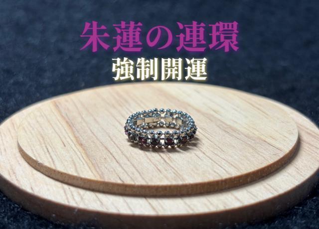 �y�^���z�z��@�̘A�E�J�^�����O  �� �����A�N�Z�T���[/���v�� 