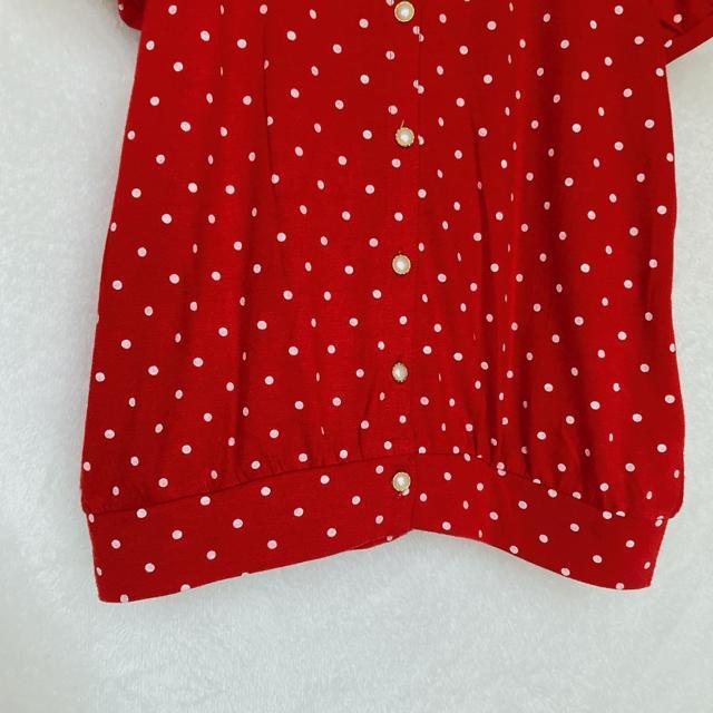 CUTIE BEAUTY  J[fBK [X gbvX  M Ԕ N2m  t@bV 