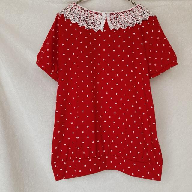 CUTIE BEAUTY  J[fBK [X gbvX  M Ԕ N2m  t@bV 