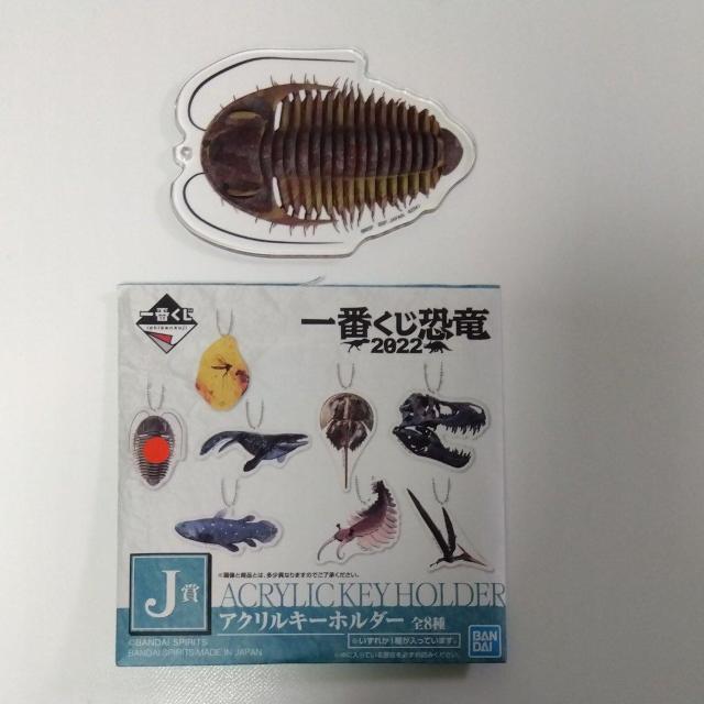 Ԃ@@2022@J܁@ANL[z_[@F   Aj/R~bN/LN^[ 