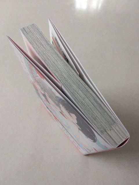 OȍL͊Â^`n  Aj/R~bN/LN^[ 