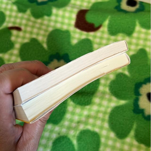 (文庫本)子どもの心のコーチング/下流志向・学ばない子どもたち働かない若者たち(2冊セット) < 本/雑誌  (文庫本)子どもの心のコーチング/下流志向・学ばない子どもたち働かない若者たち(2冊セット) < 本/雑誌の