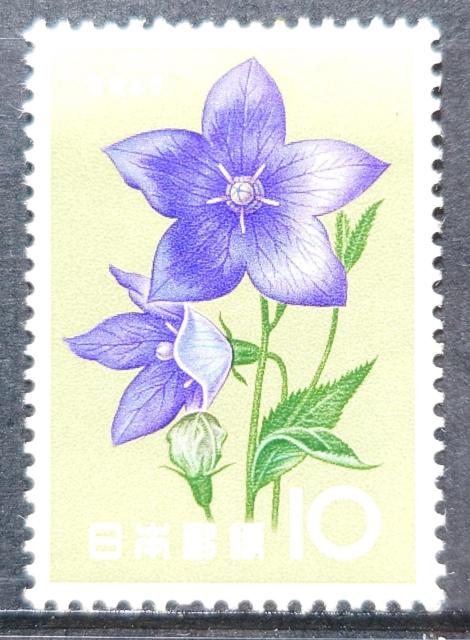 日本郵便 日本の切手 未使用切手 記念切手 花シリーズ 1961年 9月 キキョウ 桔梗 ききょう 額面10円 < ホビー 日本郵便 日本の切手 未使用切手 記念切手 花シリーズ 1961年 9月 キキョウ 桔梗 ききょう 額面10円 < ホビーの