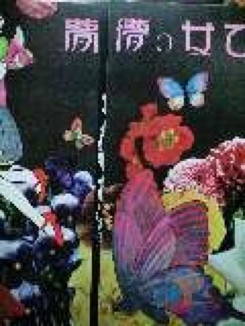 乙女の儚夢(見開き盤)あがた森魚LPレコード < CD/DVD/ビデオ  乙女の儚夢(見開き盤)あがた森魚LPレコード  < CD/DVD/ビデオの