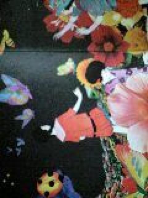 乙女の儚夢(見開き盤)あがた森魚LPレコード < CD/DVD/ビデオ  乙女の儚夢(見開き盤)あがた森魚LPレコード < CD/DVD/ビデオの