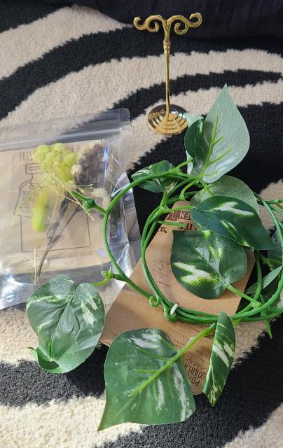 oiɁIBeZbgEԁEsAXX^h   CeA/Ct 