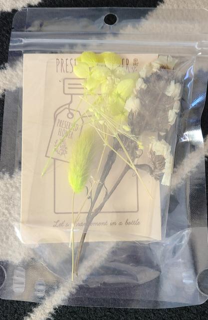 oiɁIBeZbgEԁEsAXX^h  CeA/Ct 