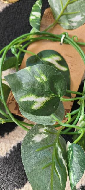 oiɁIBeZbgEԁEsAXX^h  CeA/Ct 