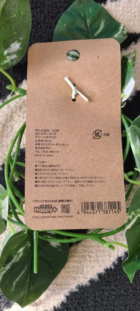 oiɁIBeZbgEԁEsAXX^h  CeA/Ct 