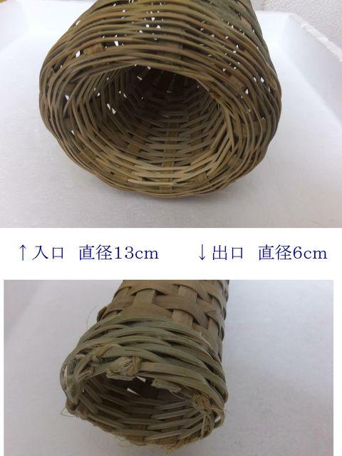 Vi@| EiMe{ ȂĂ 2{Zbg ɓ͂  W[/X|[c 