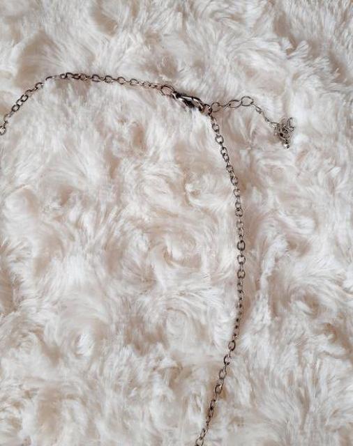 tFU[ Vo[J[ ANZg lbNX p[eB[ 񎟉  ANZT[/v 