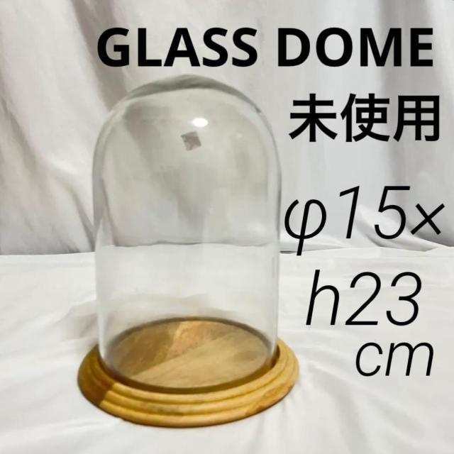 gp c ^ KXh[ KXP[X  ؐ 23cm @ GLASS DOME   CeA/Ct 
