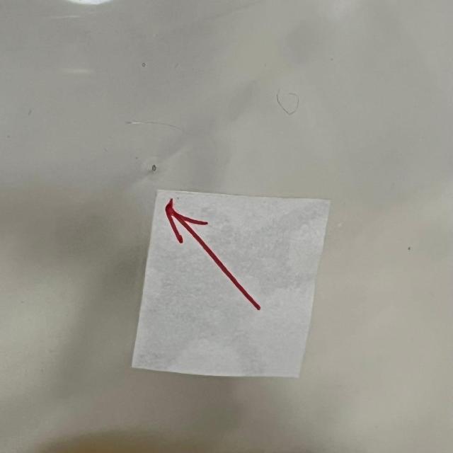 gp c ^ KXh[ KXP[X  ؐ 23cm @ GLASS DOME  CeA/Ct 