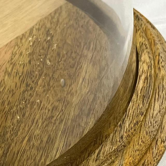 gp c ^ KXh[ KXP[X  ؐ 23cm @ GLASS DOME  CeA/Ct 