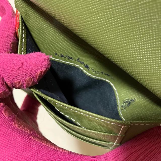 AyRoberta di Camerinoz U[ / ܌ ܂z  uh 