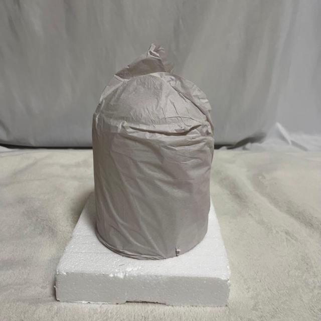 未使用 縦長 大型 ガラスドーム ガラスケース 木製台 高さ約23cm C GLASS DOME < インテリア/ライフ 未使用 縦長 大型 ガラスドーム ガラスケース 木製台 高さ約23cm C GLASS DOME < インテリア/ライフの