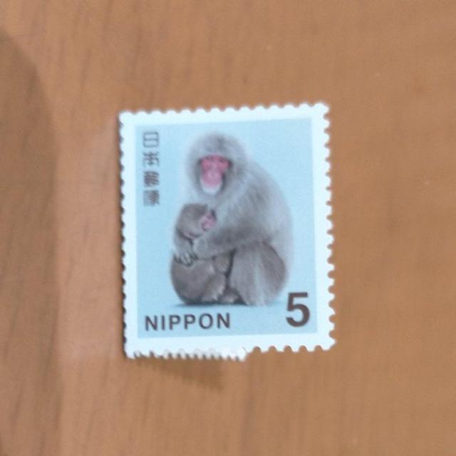 �|�C���g�����ɁI�@�؎� 5�~�@1���@�~�j���^�[��  �� �z�r�[�� 