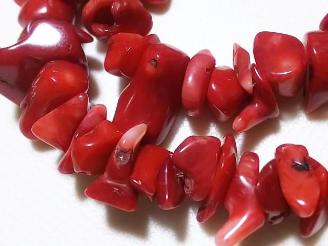 �V�R�΁��ԎX��@������@�P�A �� �����A�N�Z�T���[/���v�� 