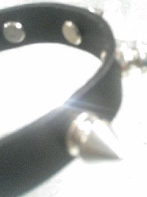 1AheuXViU[XgohBK  ANZT[/v 