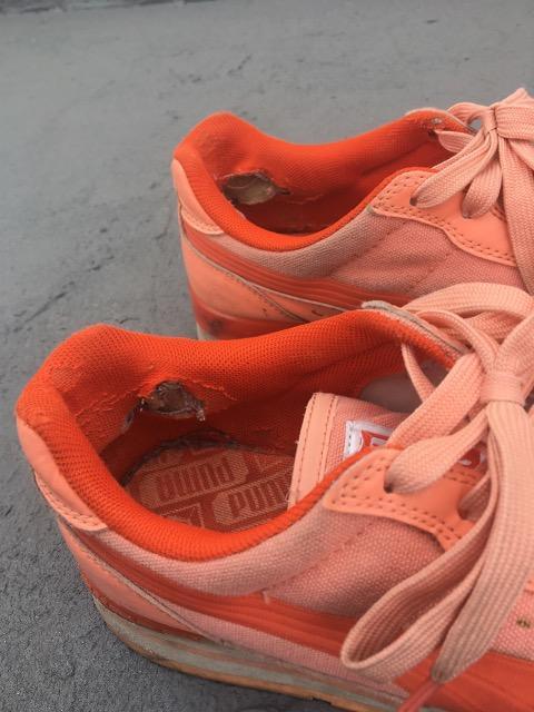 PUMA󂠂Xj[J[