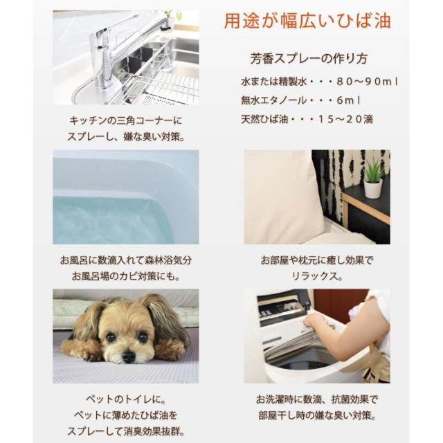 �X�ЂΖ��@10ml �~2�@�K���X�r�^�C�v�i�X�|�C�g�t���j�@���� �G�b�Z���V�����I�C�� ���悯 ���� �|�� �����C �� �w���X/�r���[�e�B�[�� 