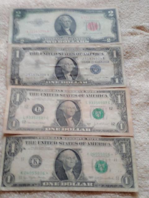 �A�����J���Ԗ�́���́��X�^�[�m�[�g  �� �z�r�[�� 