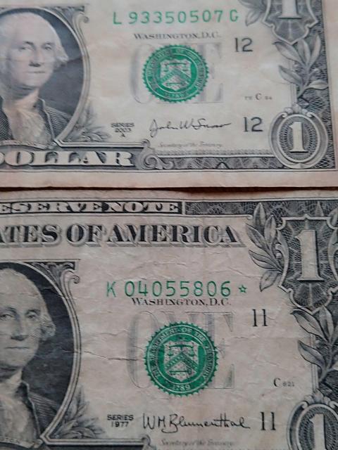 �A�����J���Ԗ�́���́��X�^�[�m�[�g �� �z�r�[�� 