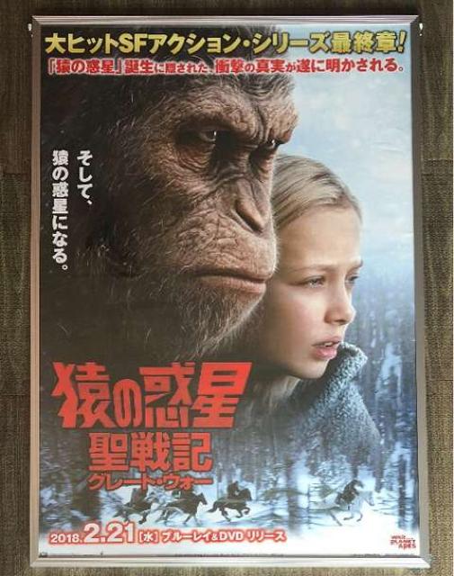 《猿の惑星》ポスター B2 映画 洋画 SF < ホビー  《猿の惑星》ポスター B2 映画 洋画 SF  < ホビーの